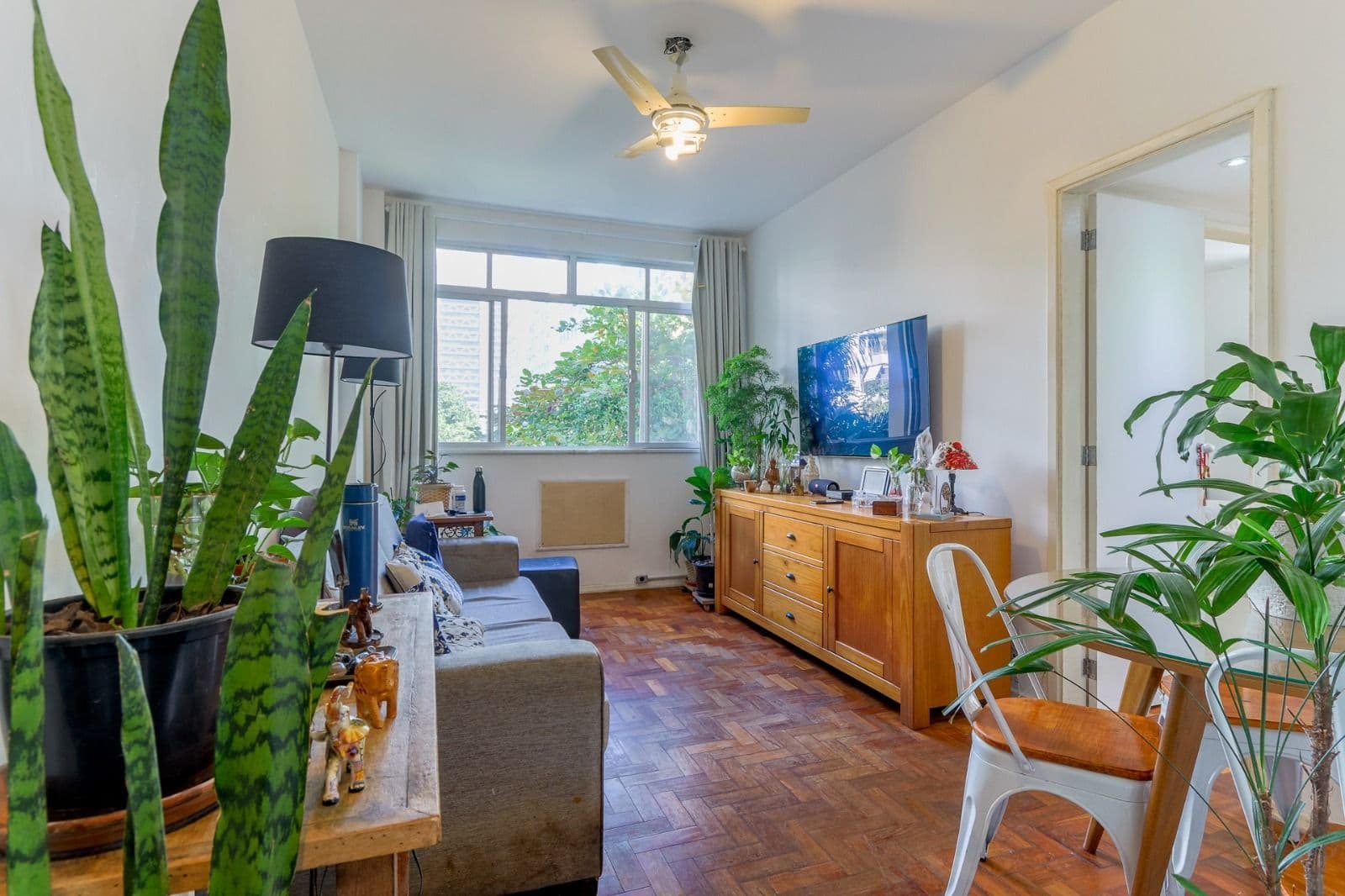 Sala de estar com piso de madeira, sofá cinza, TV na parede e muitas plantas.